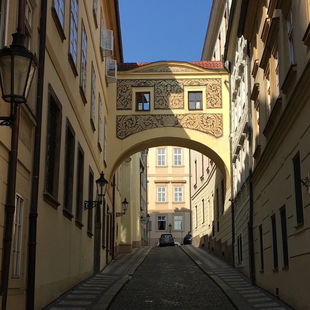 Meet your Posher, Mary